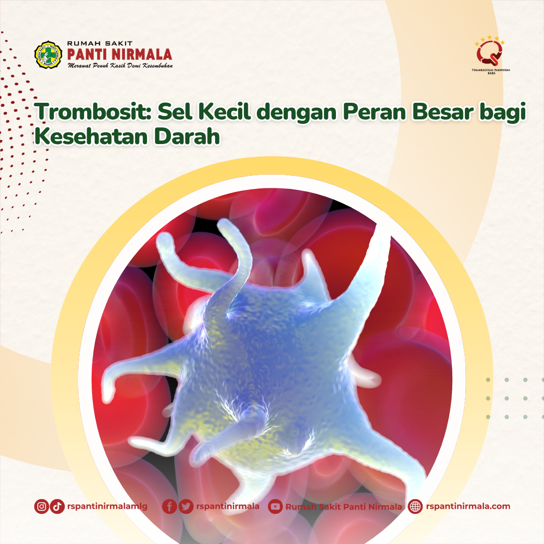Trombosit: Sel Kecil dengan Peran Besar bagi Kesehatan Darah