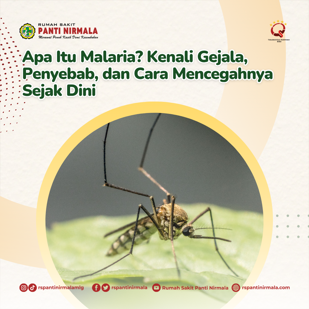 Apa Itu Malaria? Kenali Gejala, Penyebab, dan Cara Mencegahnya Sejak Dini
